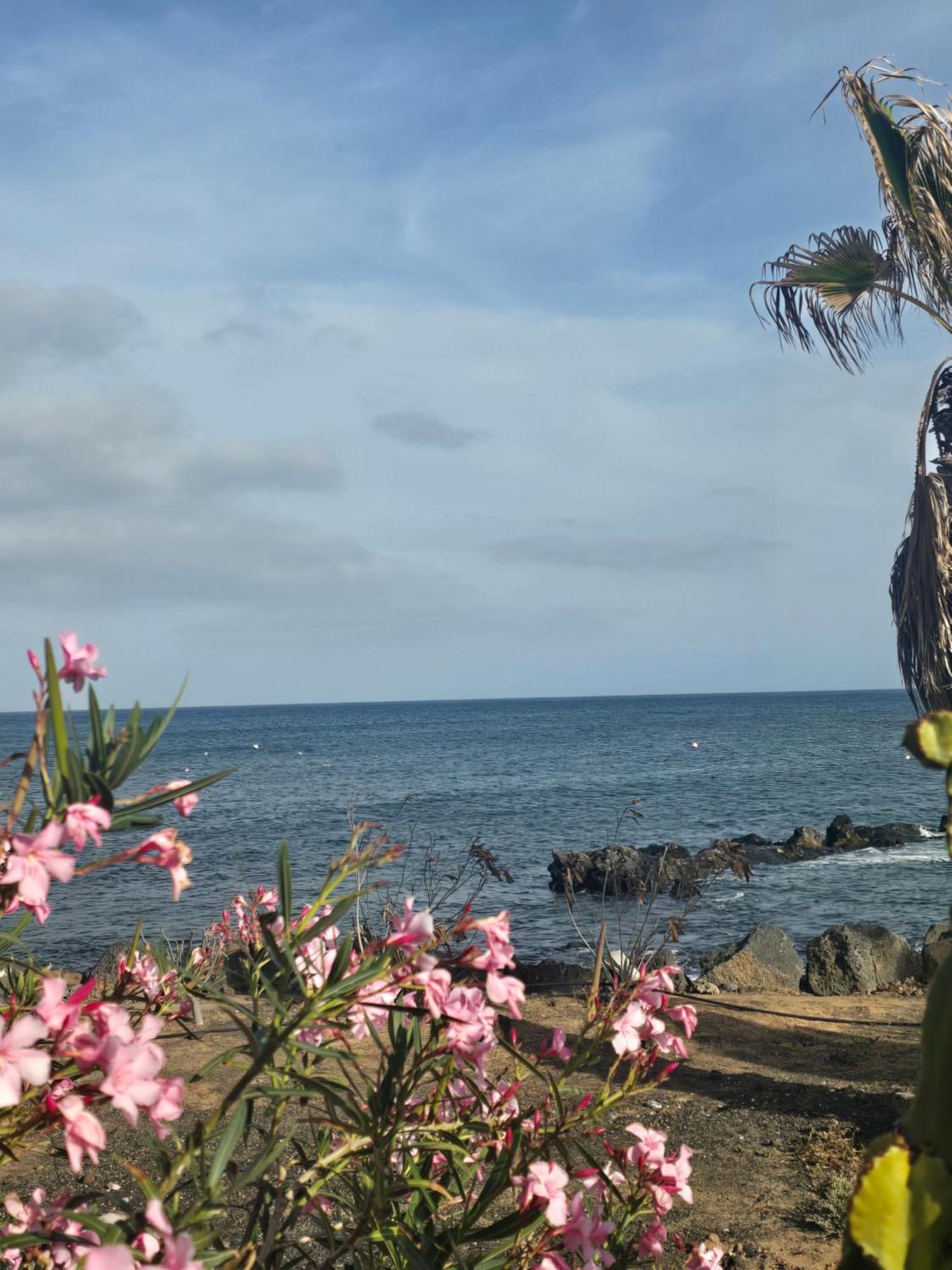 Holiday home Casa Leiva *